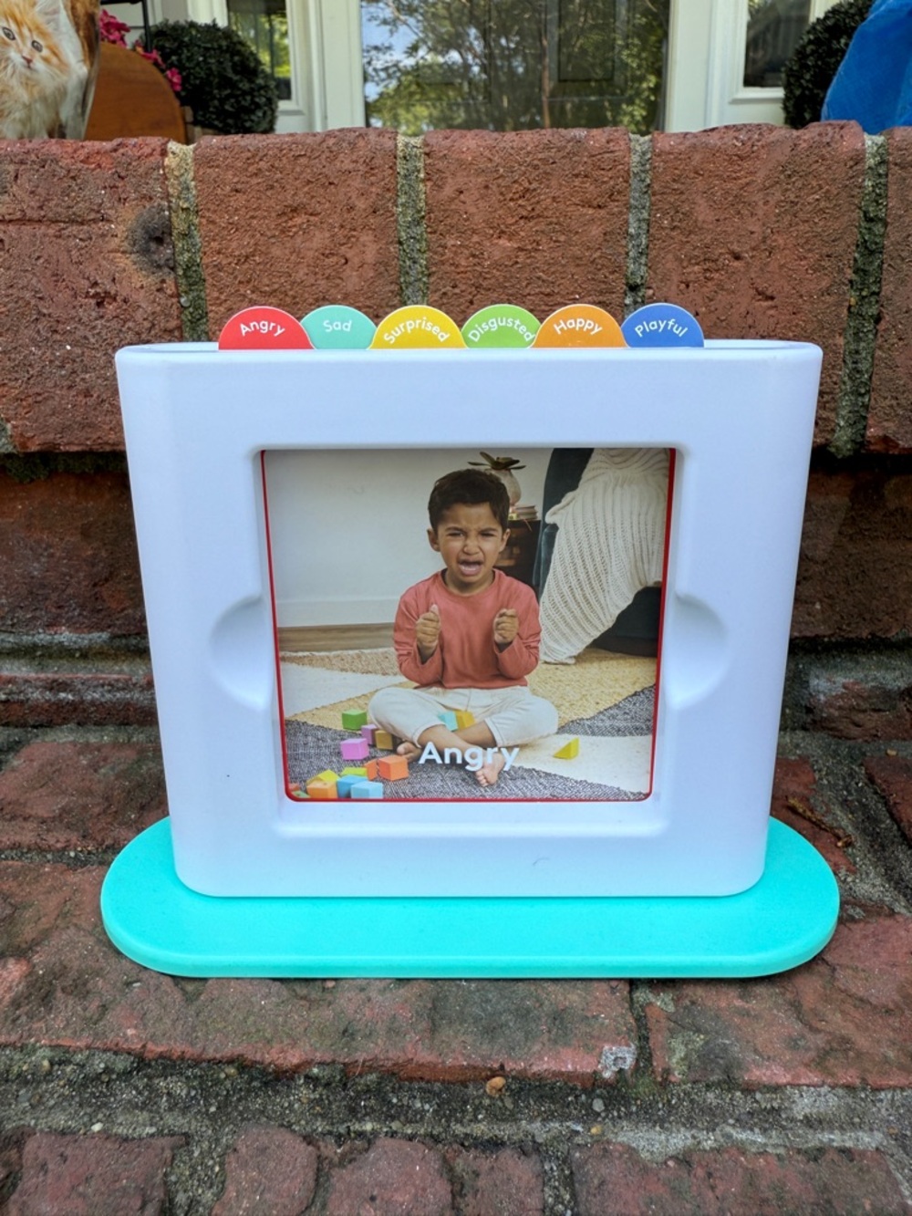 Lovevery Montessori Emotion Match Mirror & Card Set "Enthusiast" Play Kit 28-30